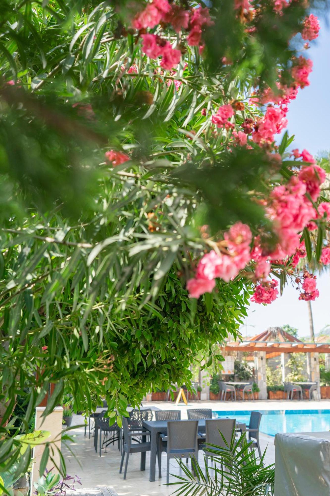 גוג'ק West House Exclusive Hotel מראה חיצוני תמונה